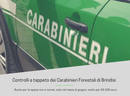 Controlli a tappeto dei Carabinieri Forestali di Brindisi