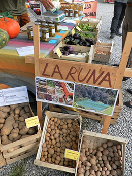 È uno shopper biodegradabile attento all'ambiente